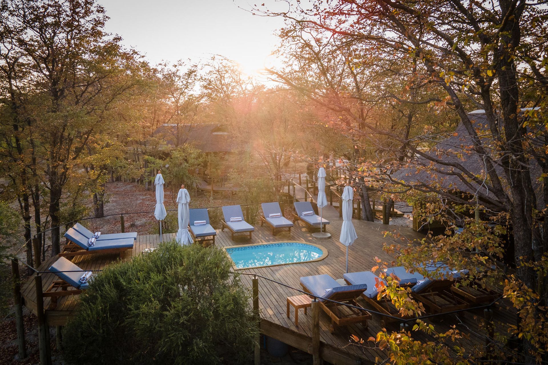 Outdoor pool with lounge chairs and umbrellas surrounded by autumn trees at sunset