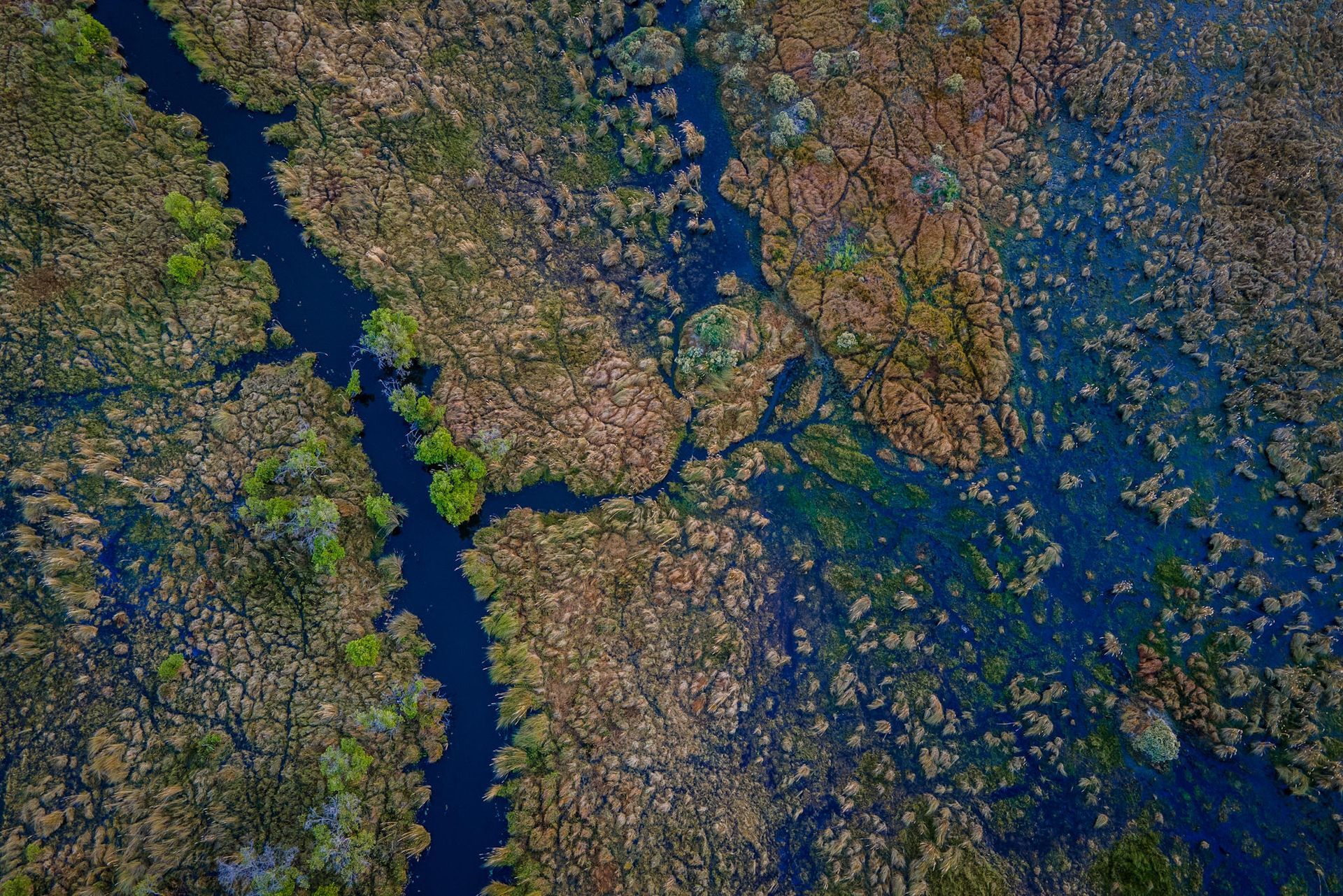 Aerial view of a winding blue river through dense green and brown forest