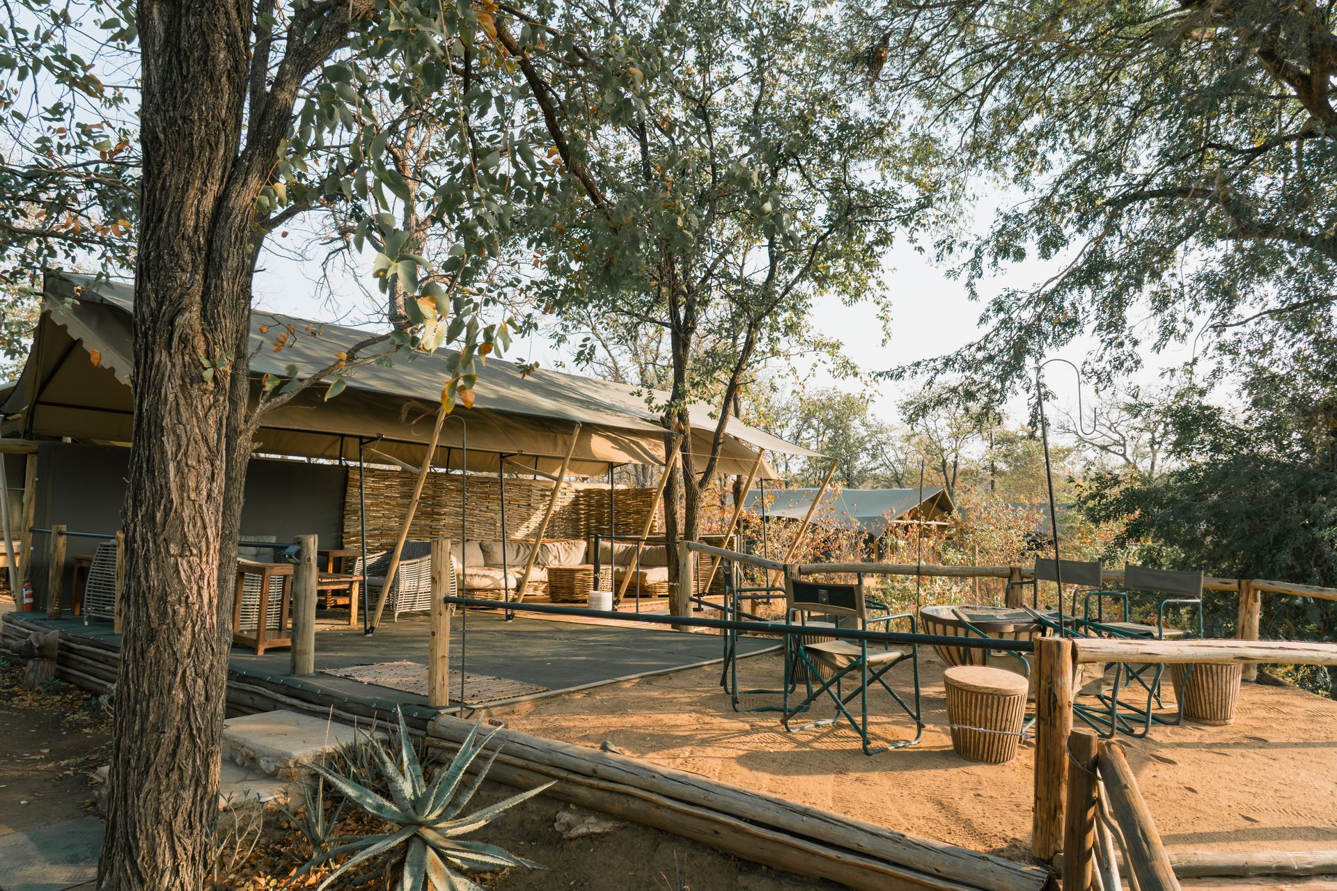 Shaded safari camp with thatched roof. Wooden deck, tables, and trees. Outdoor setting.