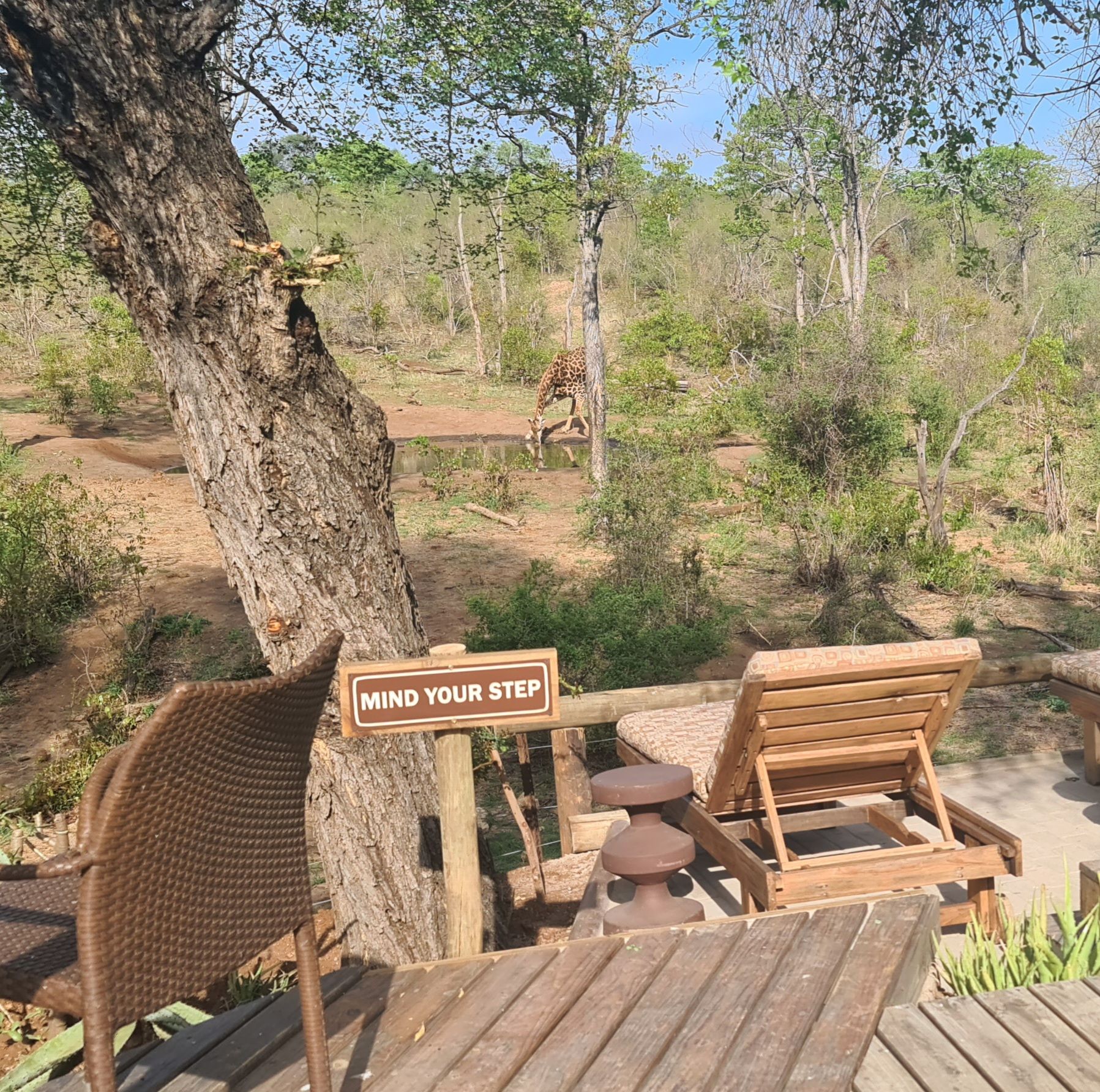 Outdoor deck with wooden furniture, overlooking trees, a sign says 