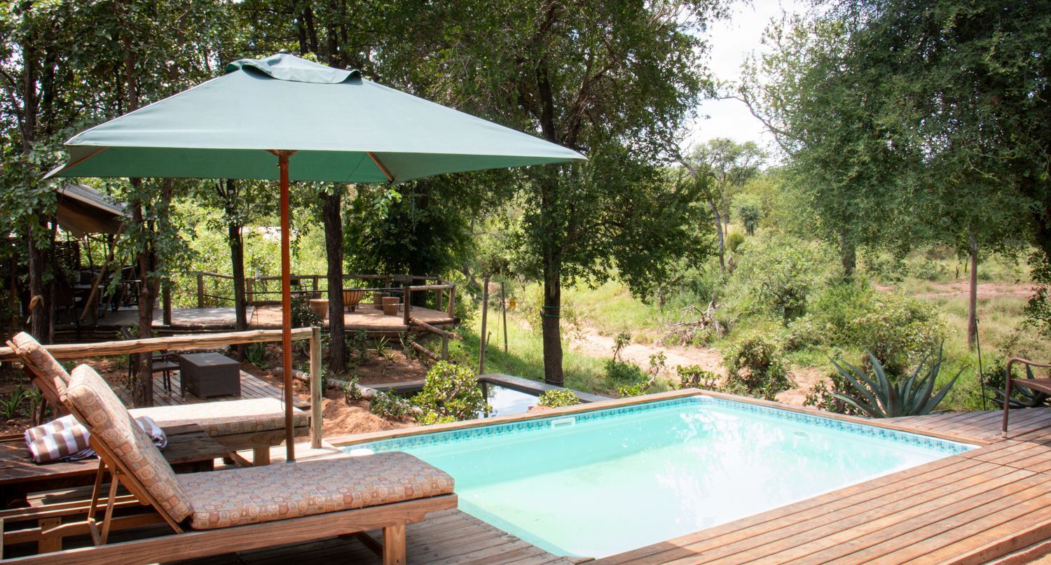 Wooden deck with a turquoise pool, lounge chair, and green umbrella in a shaded garden setting