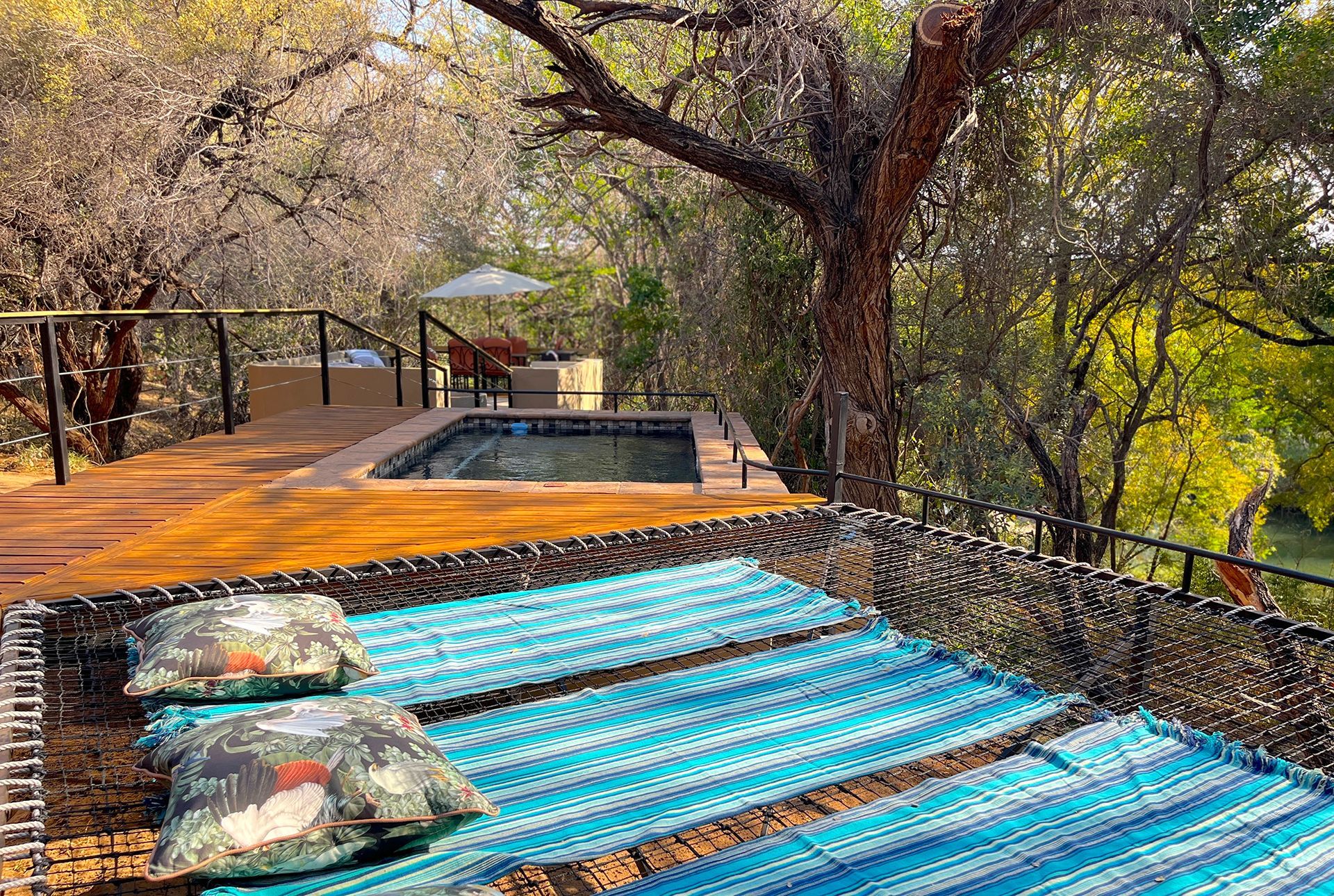 Wooden deck with hammock and plunge pool surrounded by trees.