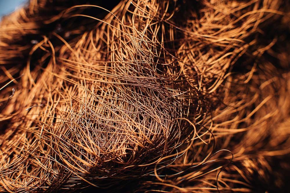 A Close up Of a Pile of Brown Hair on A Person 's Head — H & H Metal Recycling In Caloundra, QLD