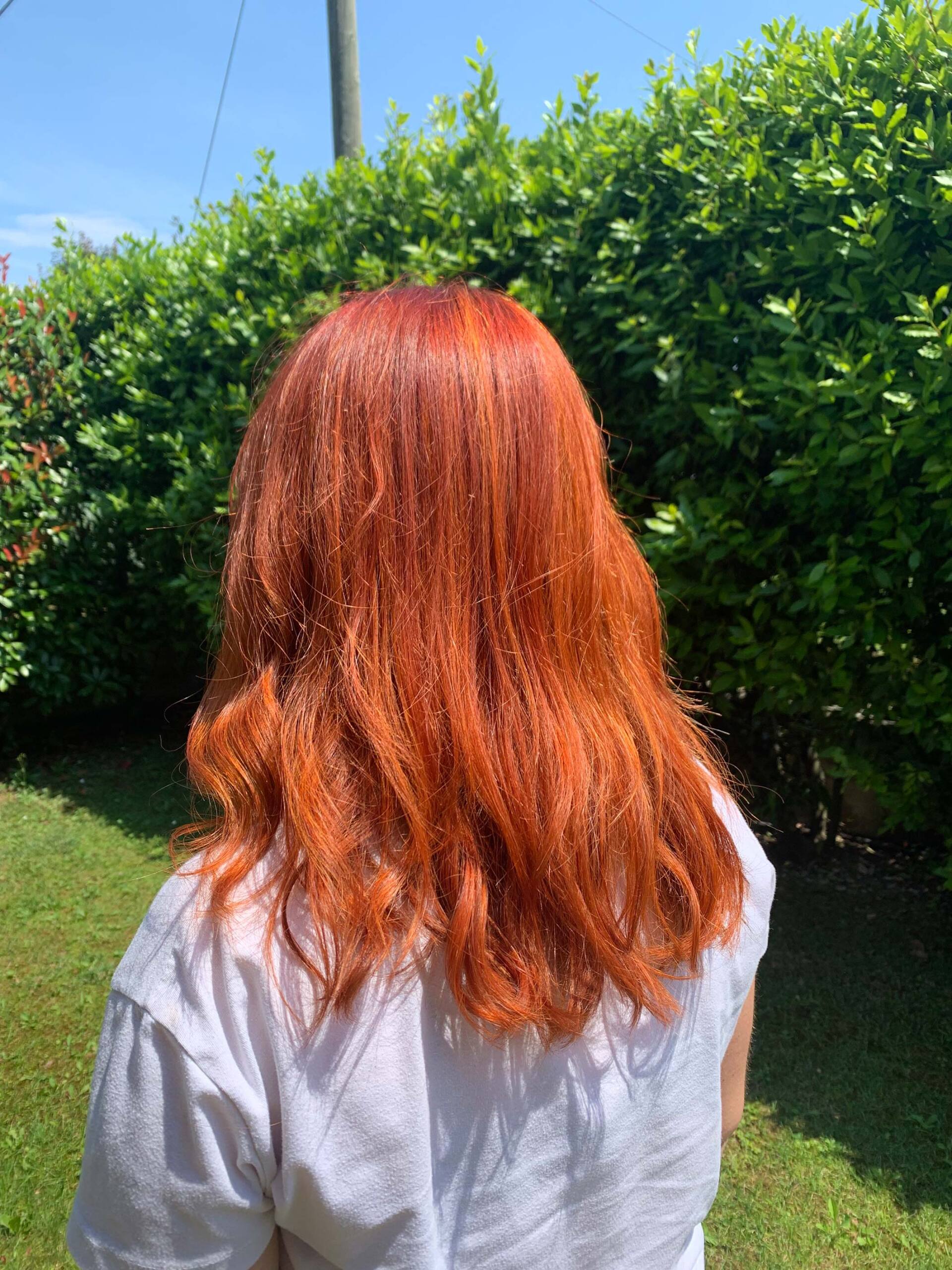 colorazioni rosso