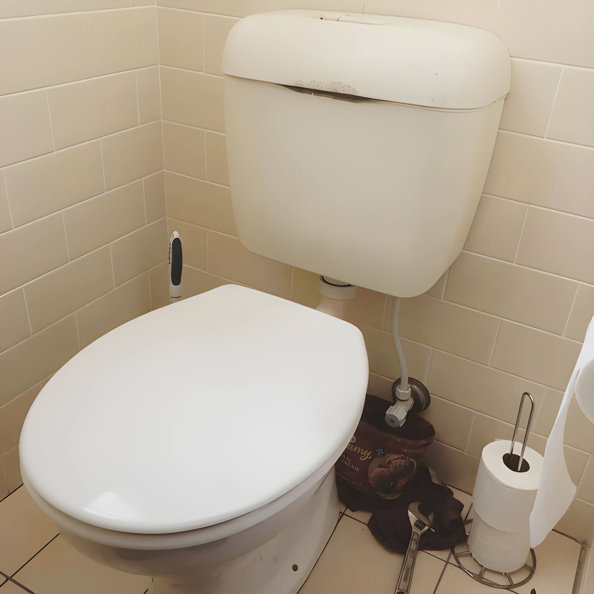 White Toilet with Closed Lid, Tank and Toilet Paper in A Bathroom — Cobra Plumbing & Bathrooms in Heathcote, NSW