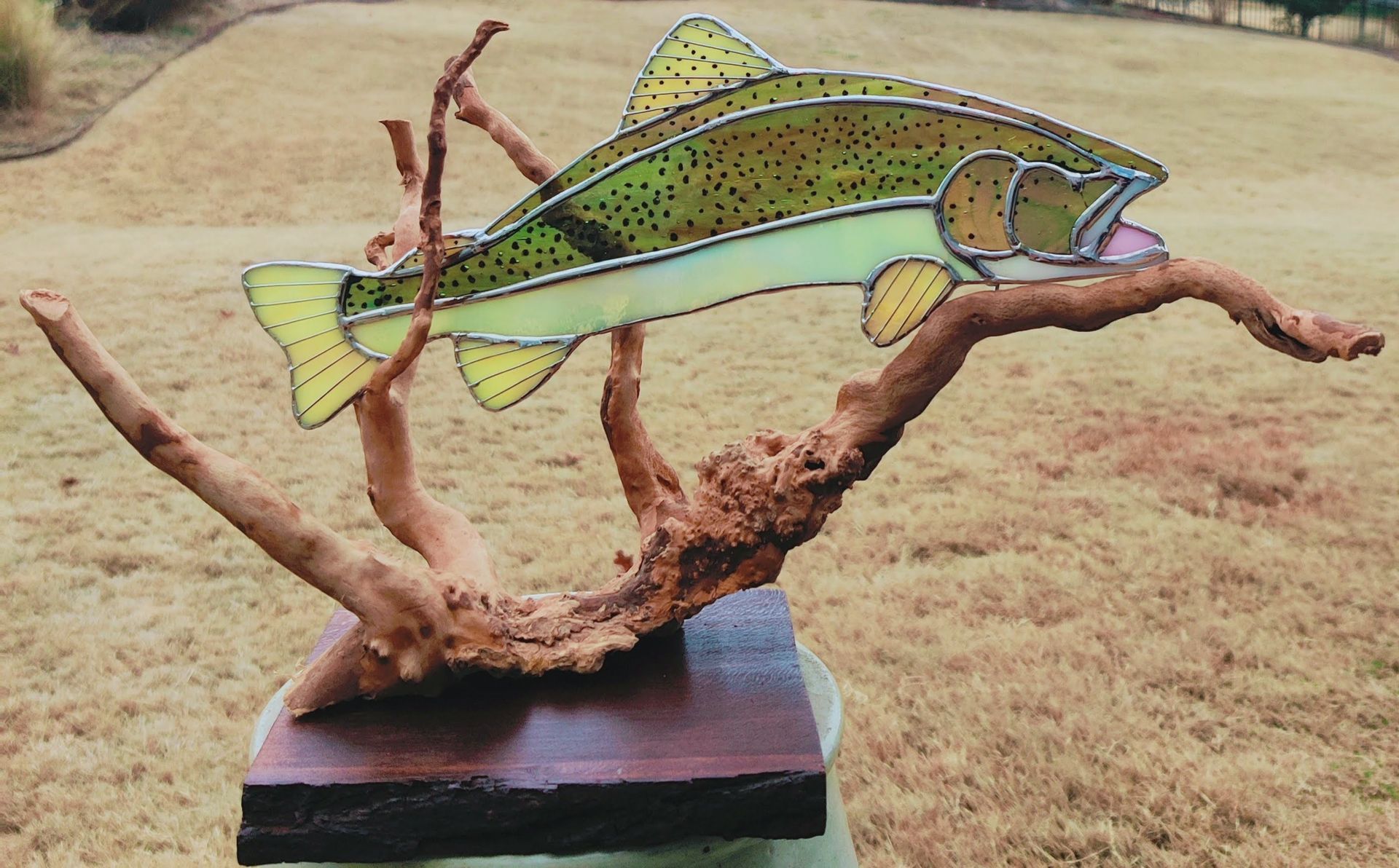 Colorful fish sculpture mounted on driftwood, displayed outdoors on a grassy field.