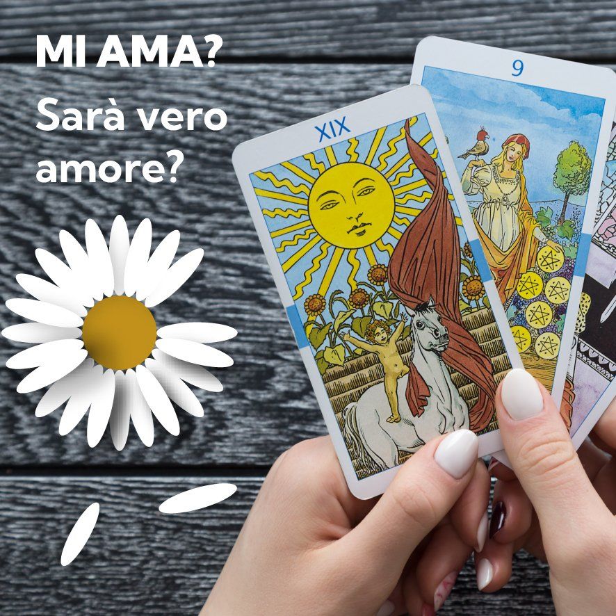 Due carte dei tarocchi su un tavolo con una margherita bianca e una scritta 