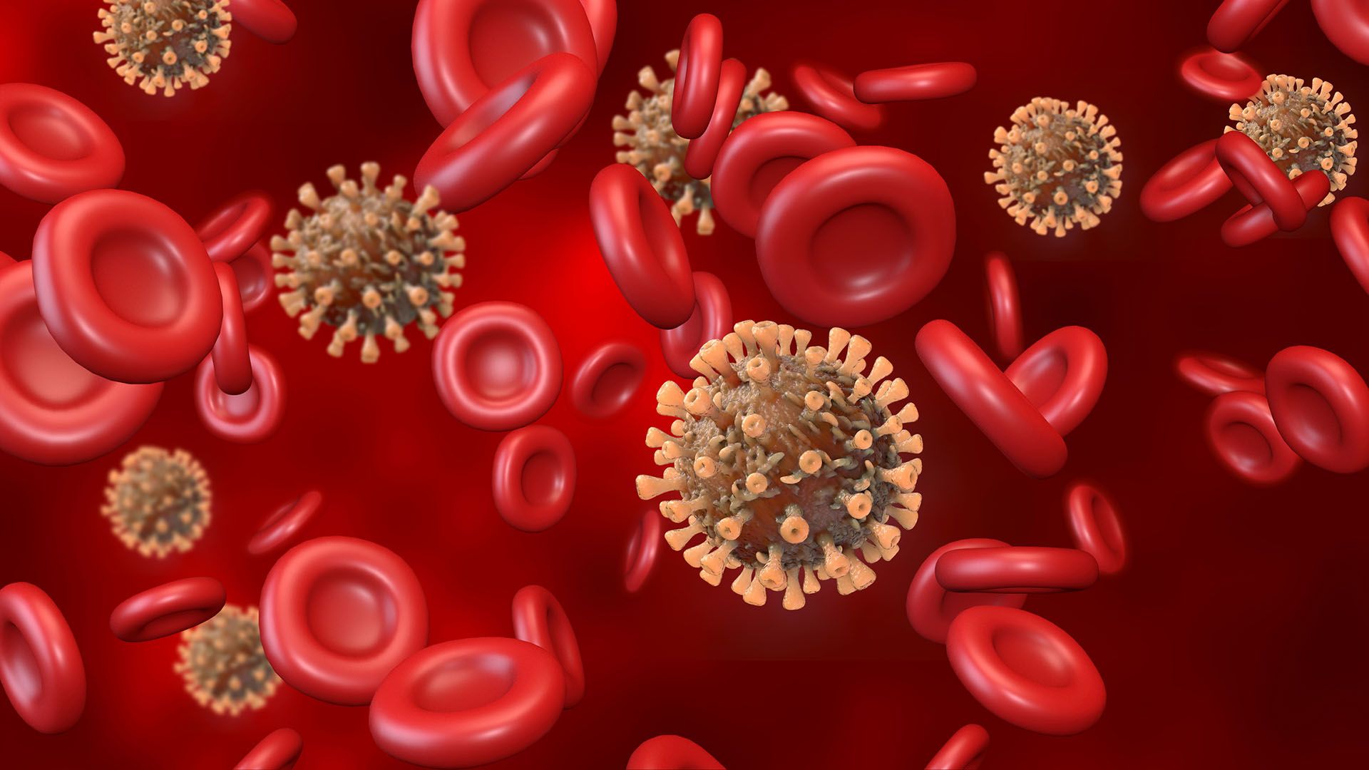 Red blood cells with bloodborne pathogens under a microscope
