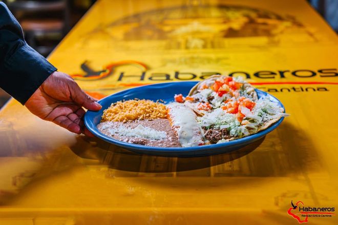 A hand holds a blue plate of Mexican food, including rice, beans, and tacos, over a yellow 