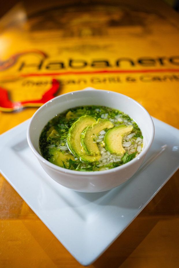 A bowl of soup with avocado slices and chopped cilantro on a square plate at Habanero Mexican Grill and Cantina.