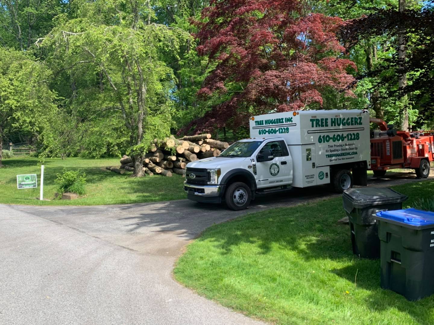 Tree Gallery Avondale, PA Tree Huggerz Inc