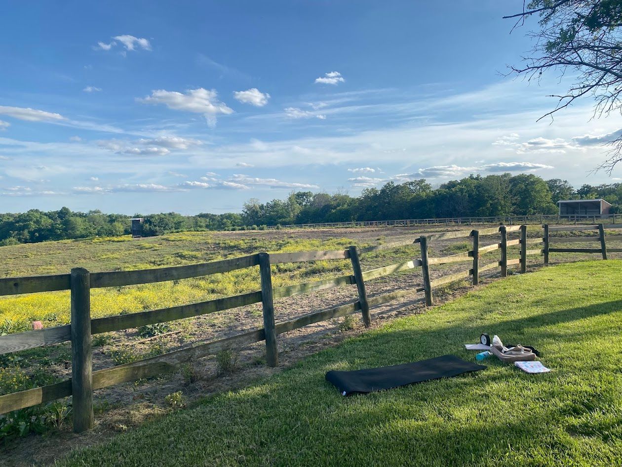 Horses, Yoga, Outdoor Yoga