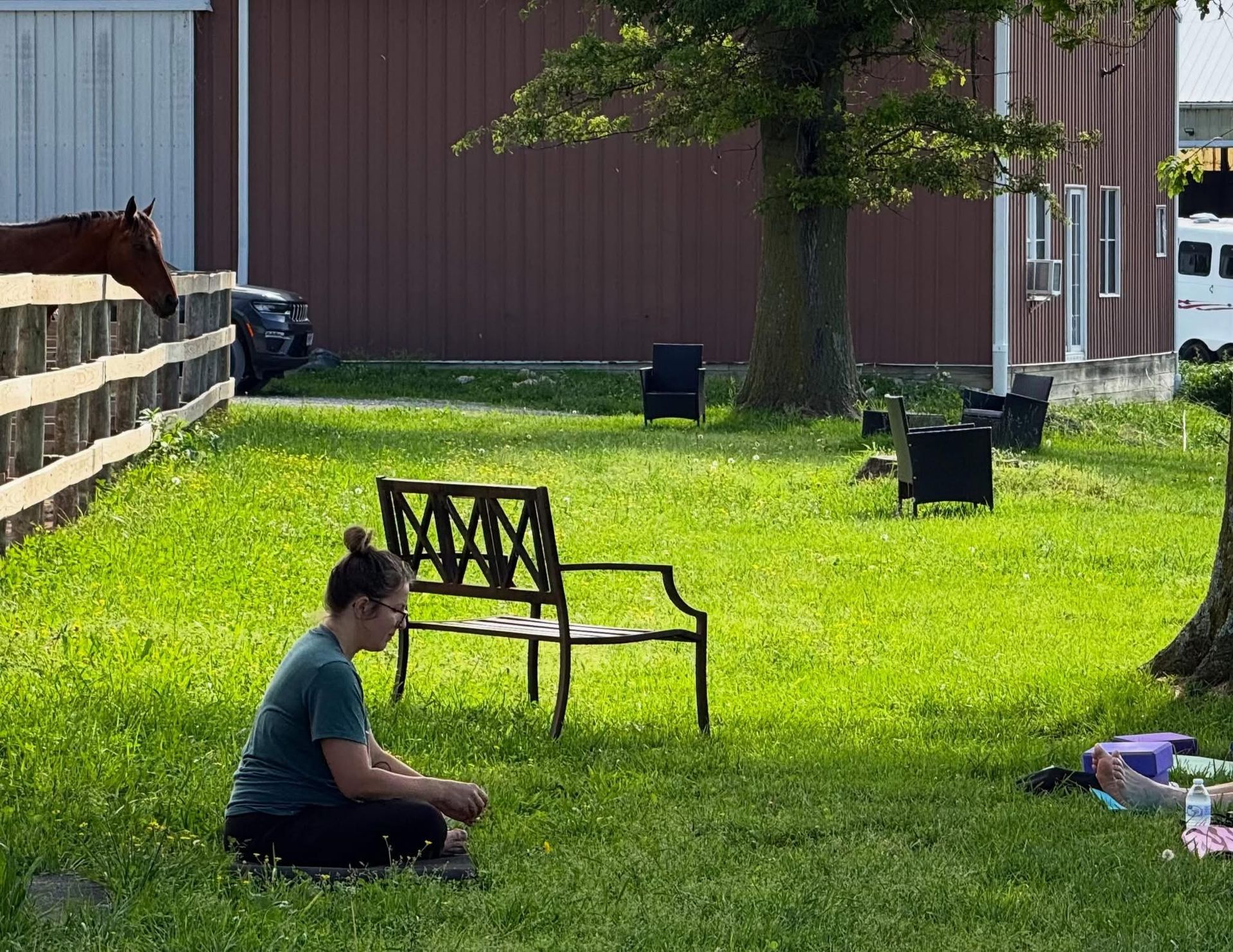 Outdoor Yoga, Horses