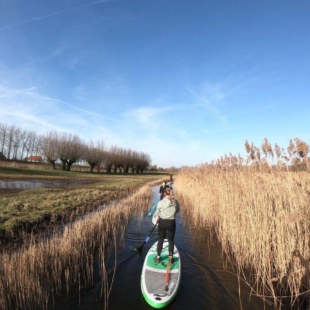 Rheno Surfs