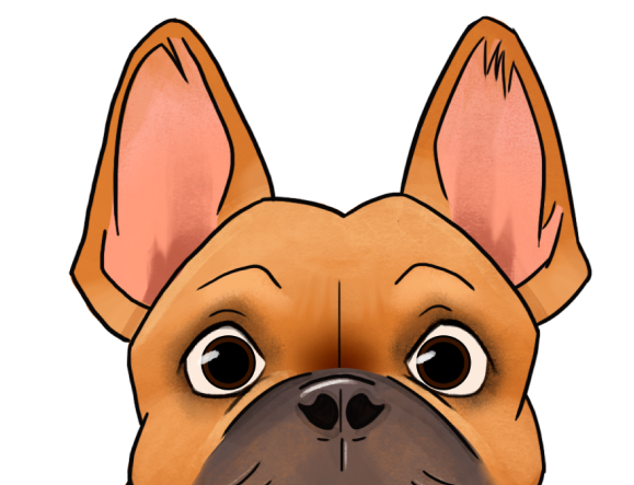 Cartoon French bulldog face with large ears and wide eyes, tan and black coloring