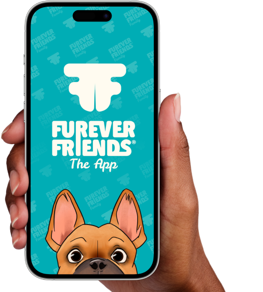 Hand holding a phone showing the Forever Friends app logo on a teal background with a cartoon dog peeking up
