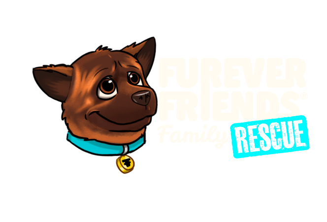 Cartoon brown dog with a blue collar and medal, looking up beside the word “RESCUE”