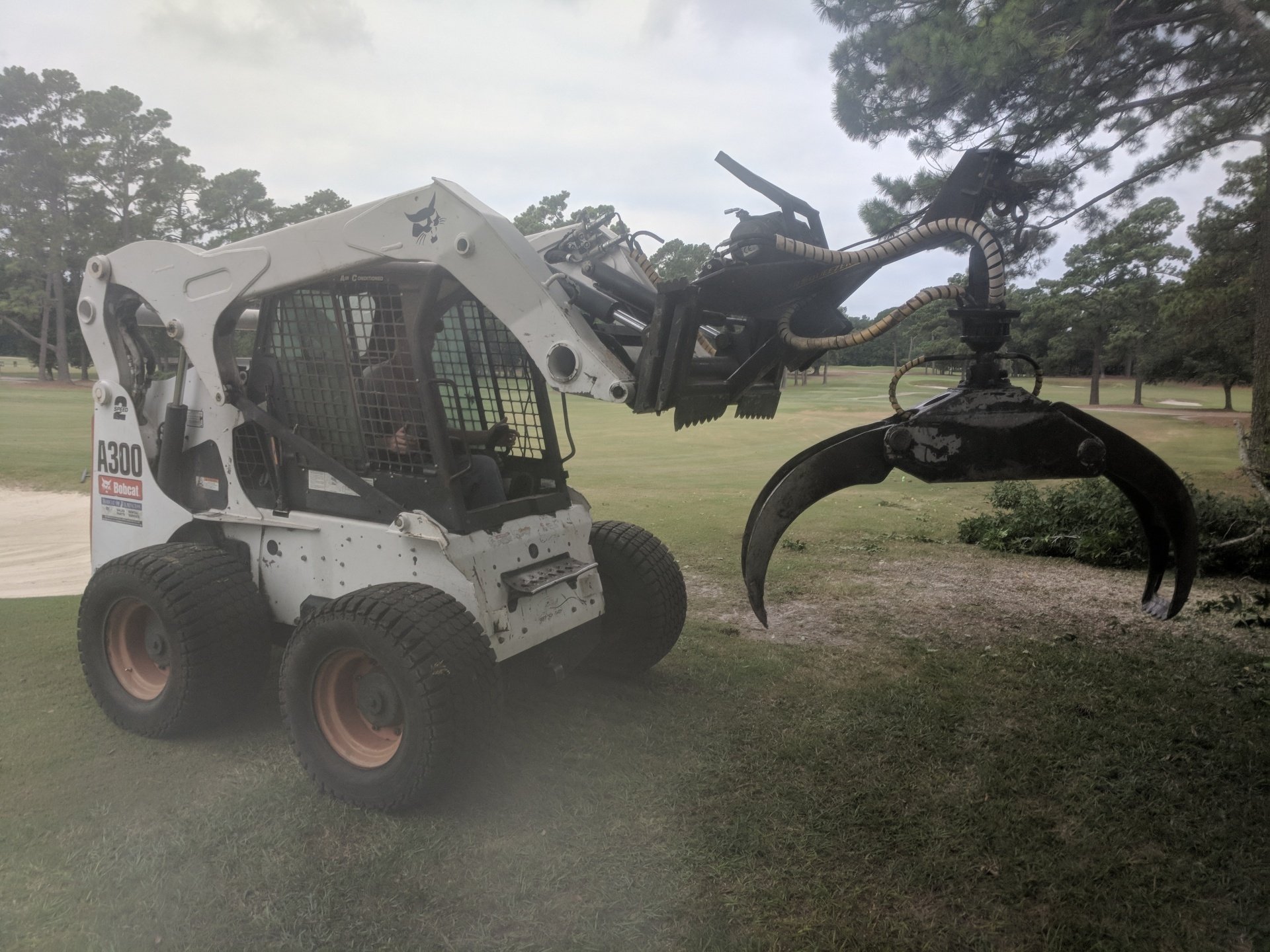 Tree Services Wilmington, NC Paul Bunyan’s Tree Service
