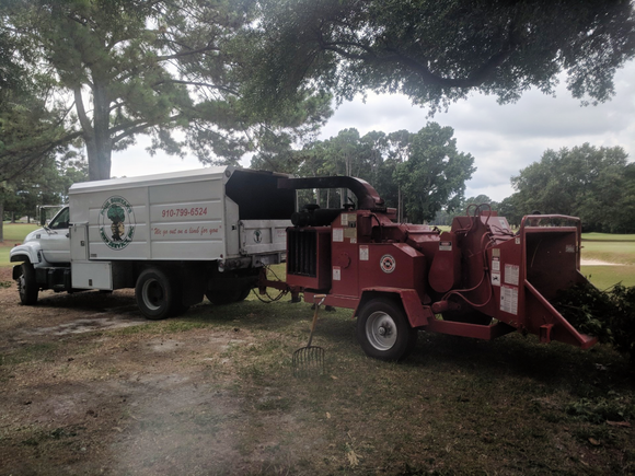 Cutting Tree on the Road — Wilmington, NC — Paul Bunyan’s Tree Service Cutting Tree on the Road — Wilmington, NC — Paul Bunyan’s Tree Service