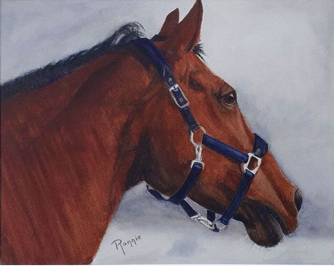 Aquarel: paard