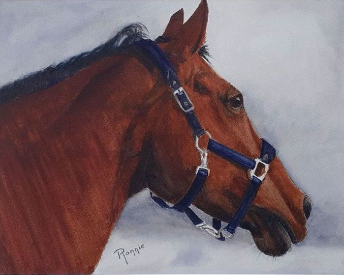 “Stilte in Profiel”, aquarelportret van een paard in profiel met warme tinten en zachte lichtval