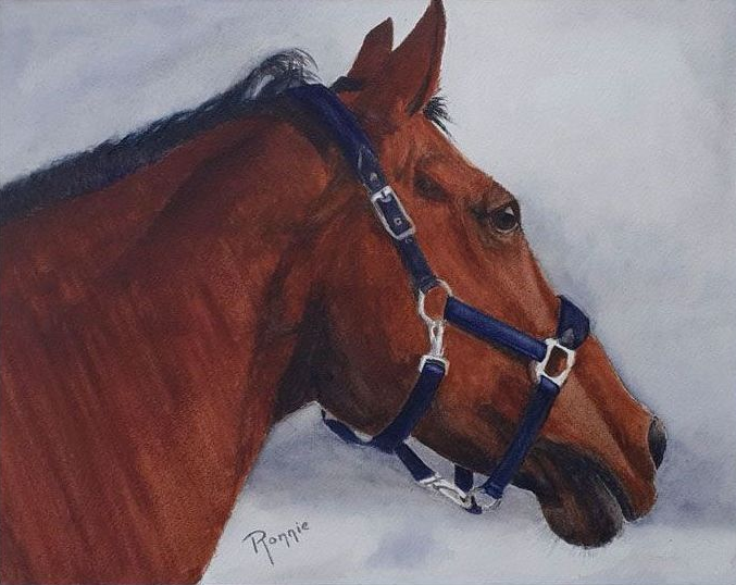 “Stilte in Profiel”, aquarelportret van een paard in profiel met warme tinten en zachte lichtval