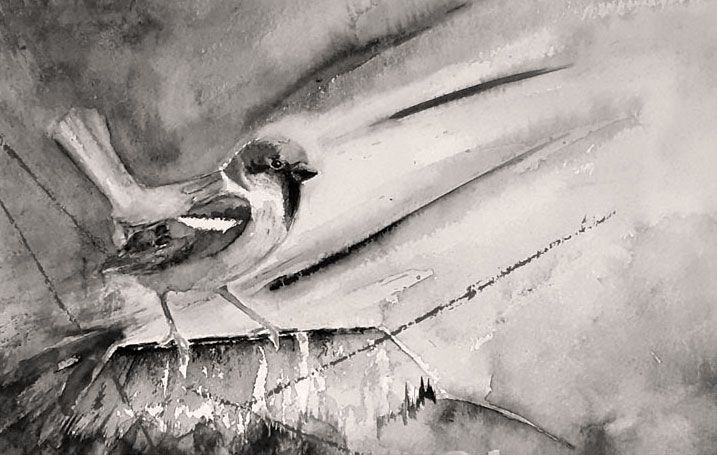 aquarel van een mus in de storm