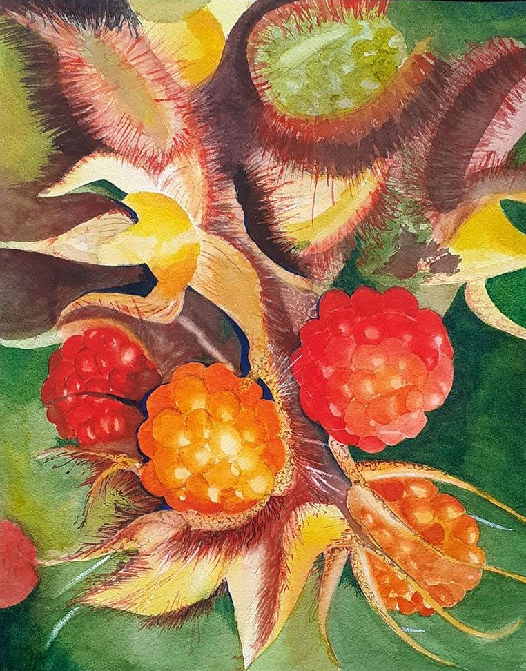 Aquarel van de Japanse wijnbes in rood, geel, oranje en groen