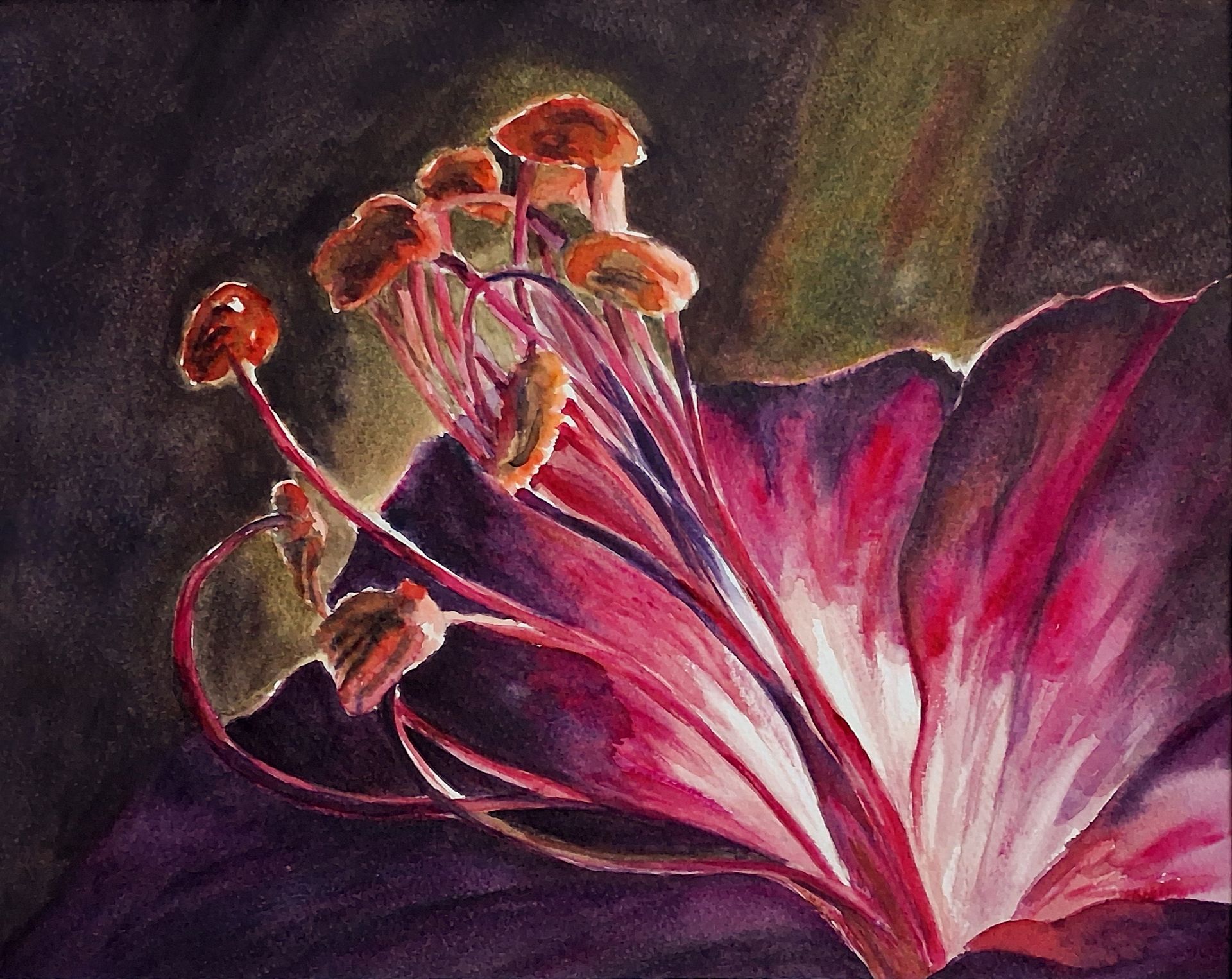Expressieve bloemenaquarel met felroze bloemblaadjes en warme meeldraden in donker licht.