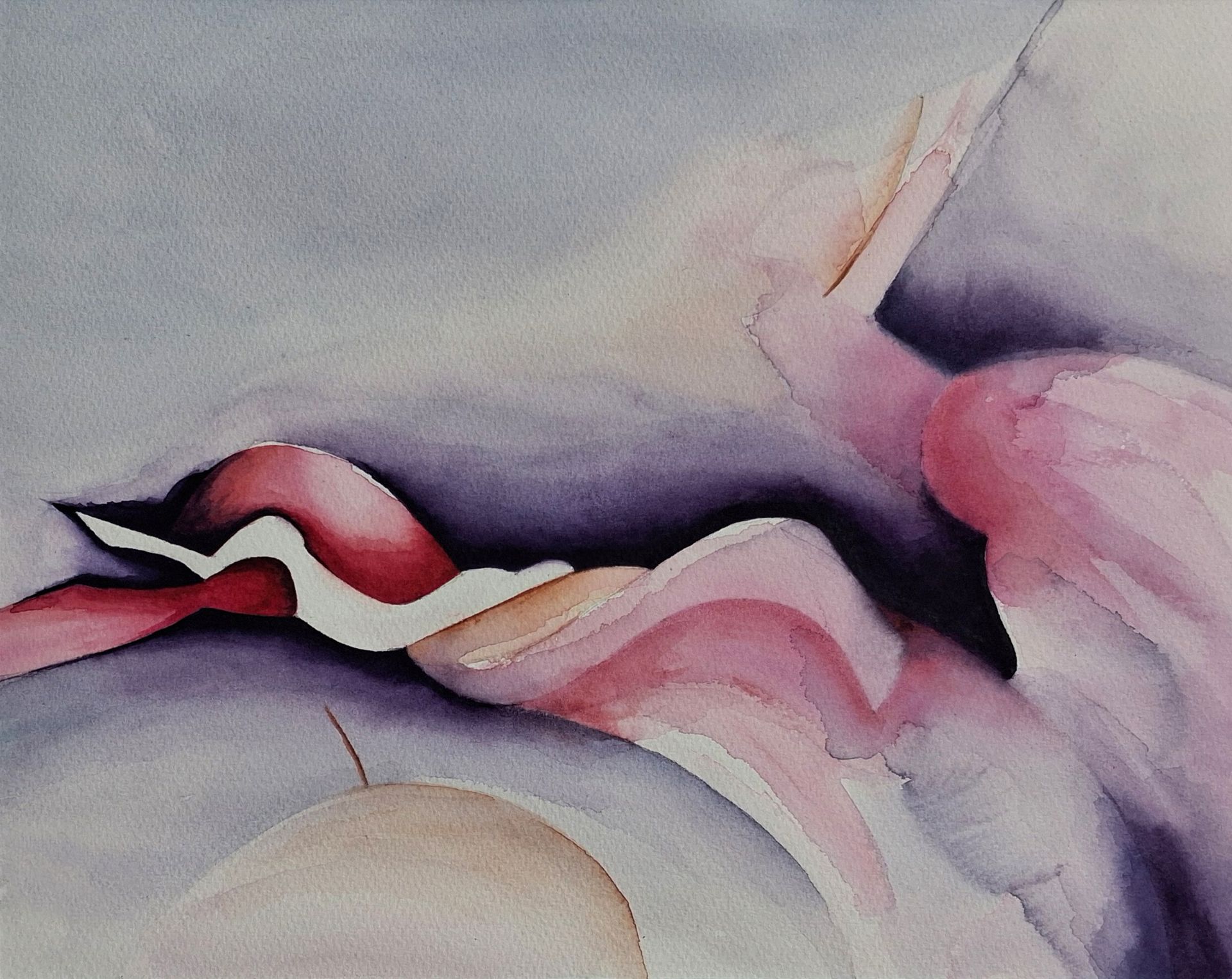 Sculptural Silence – Echo, een liggende oriëntatie van een eigentijdse aquarel met rode bloemvorm en donkere achtergrond.
