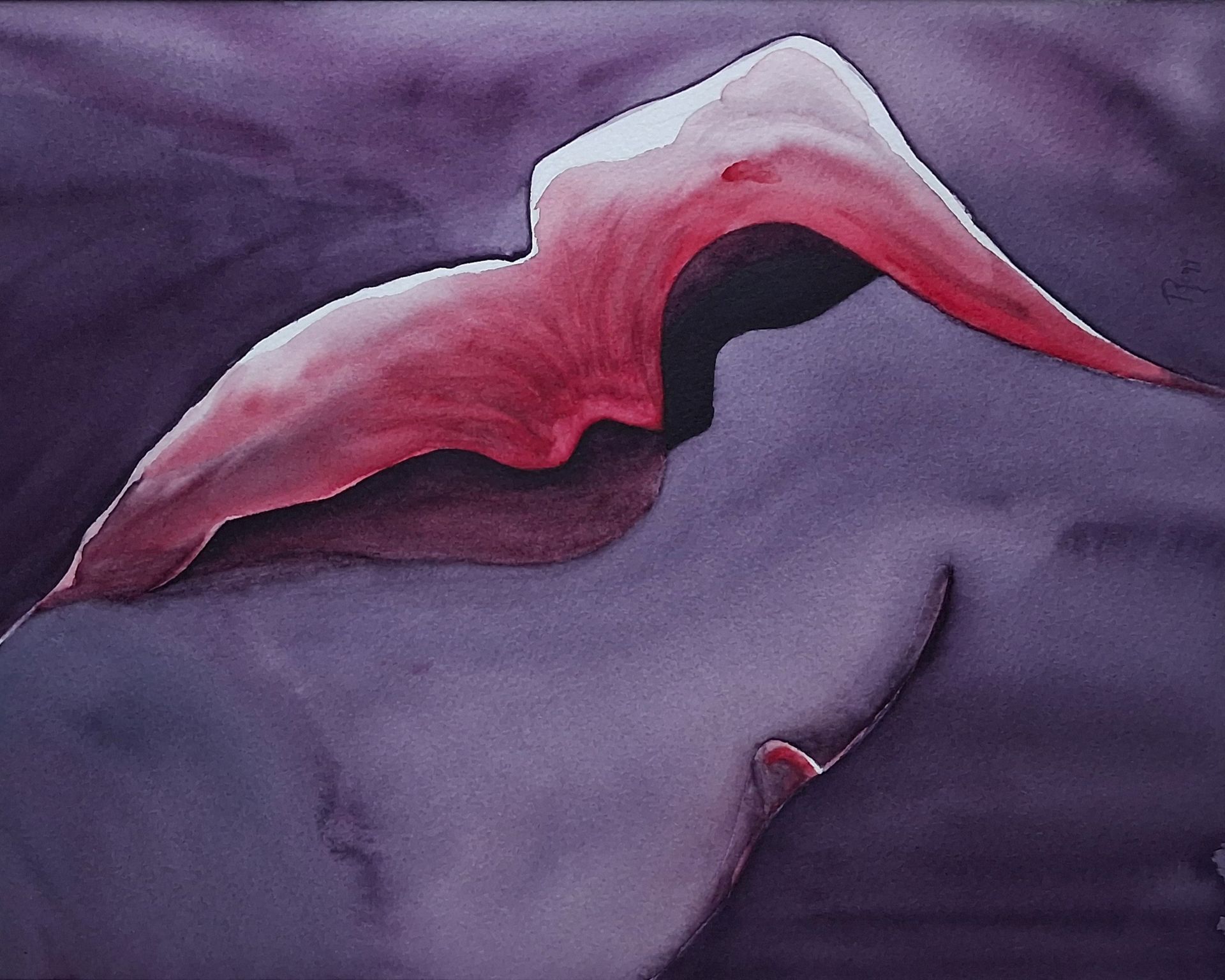 Sculptural Silence – Echo, een liggende oriëntatie omgekeerd van een aquarel met rode bloemvorm en donkere achtergrond.