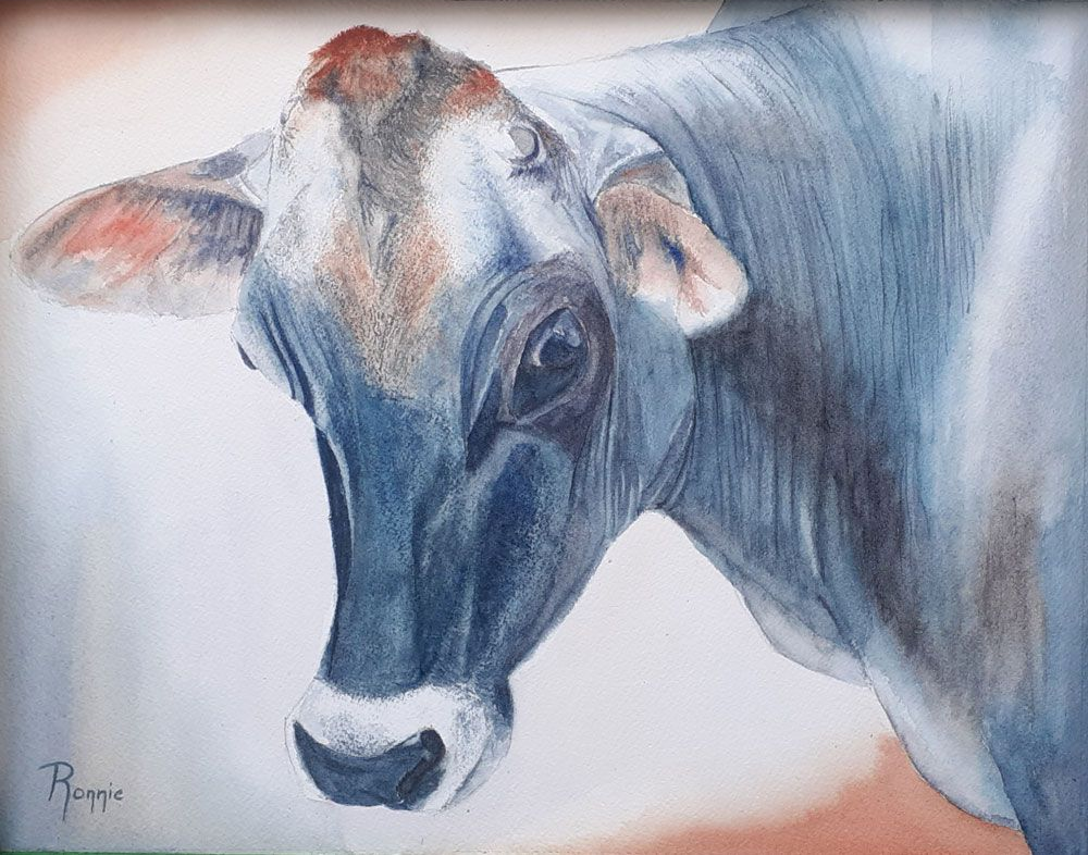 “Stilte in Blauw”, aquarelportret van een koe in blauwtinten met rustige blik en zachte vormovergangen