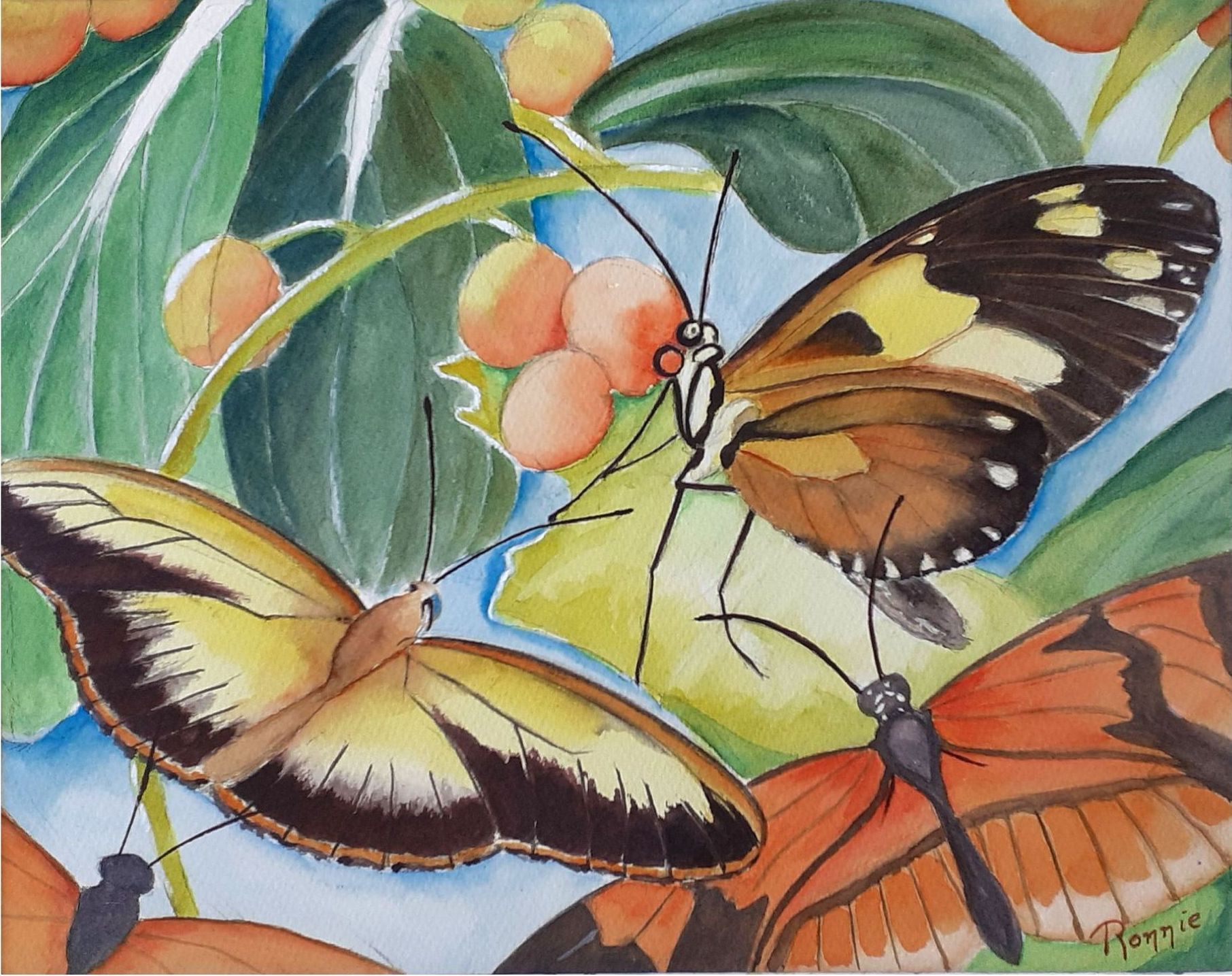 Aquarel; vlinders