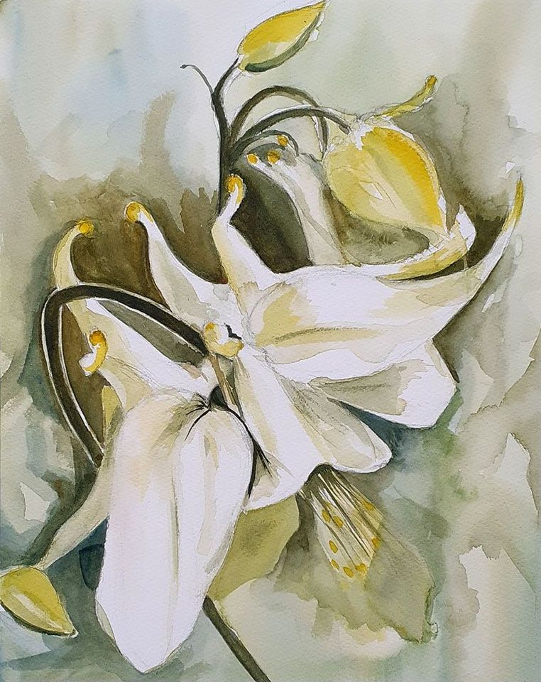 Aquarel van een akelei