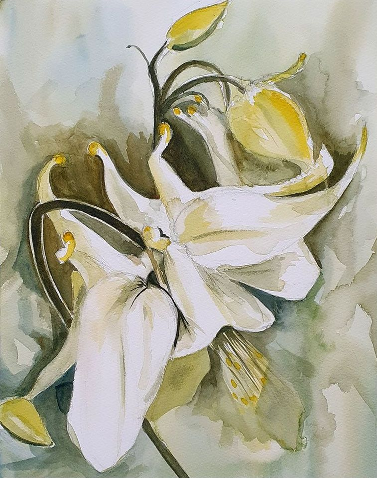 Aquarel van een akelei