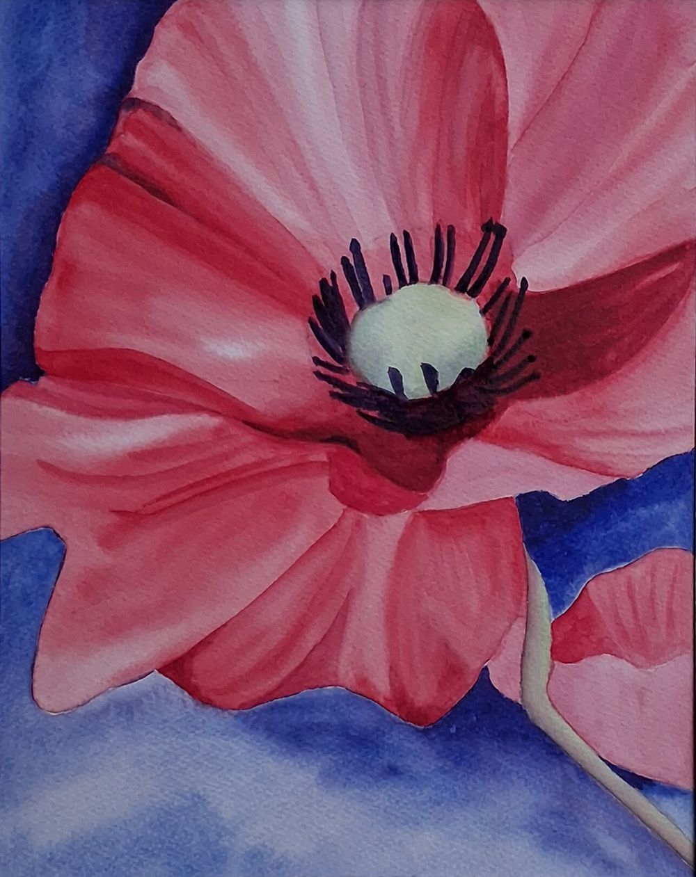 Inner Bloom VIII sterke uitvergroting van de rode klaproos