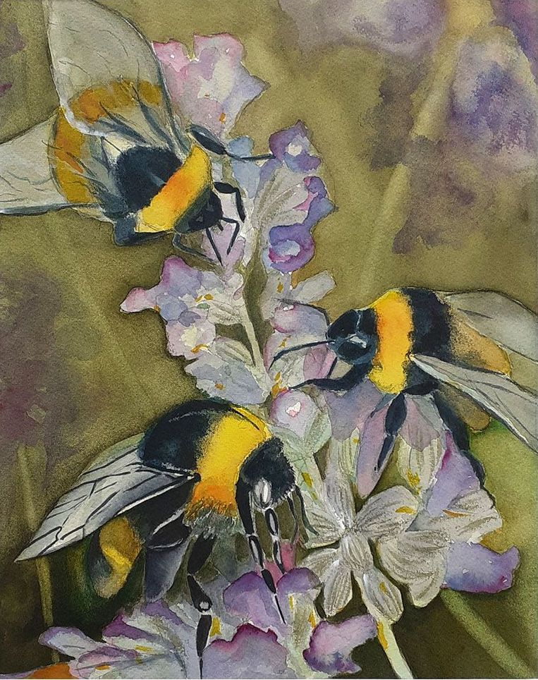 Aquarel van Bijen en lavendel