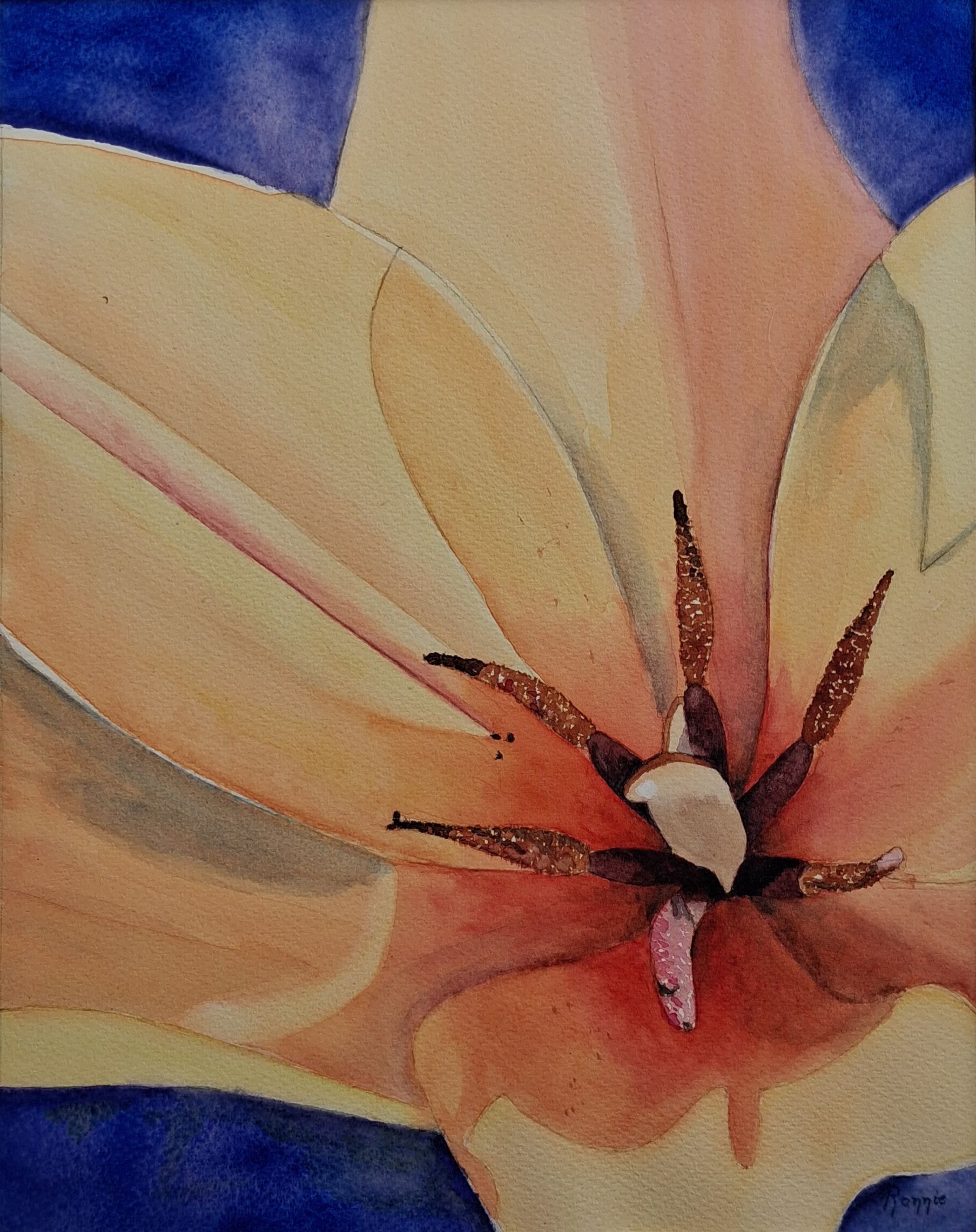 Inner Bloom X Kern van de tulp