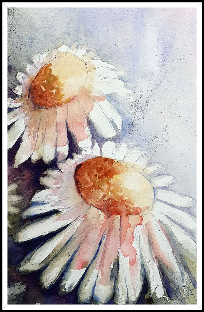 Aquarel: kamille