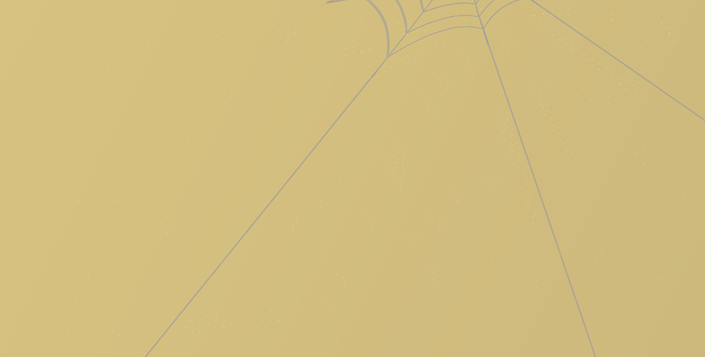 Warm beige schutblad met fijne spinnenwebillustraties uit Het paleis op zolder