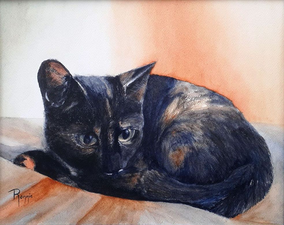 “In de Schaduw van de Stilte”, aquarel van een opgerolde kat met zachte blik tegen een warme achtergrond