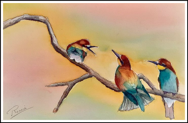 Aquarel: vogels