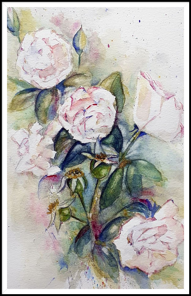 Aquarel: rozen