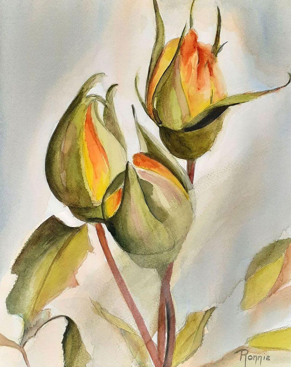 Aquarel rozenknoppen