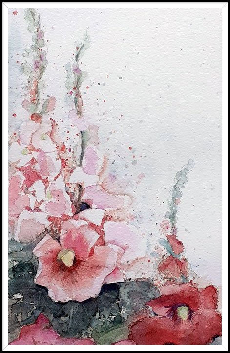Aquarel: stokrozen