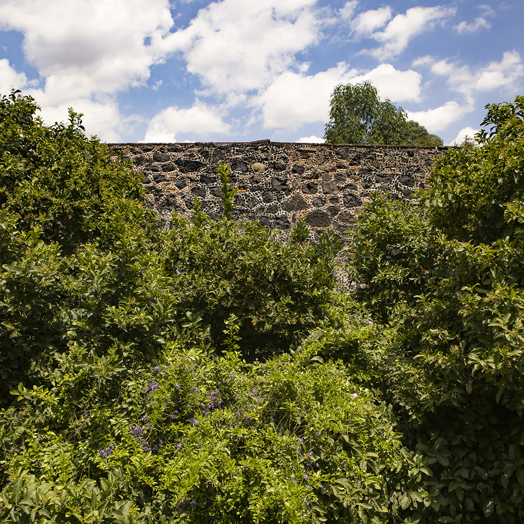 Hacienda Peña Pobre | Garden