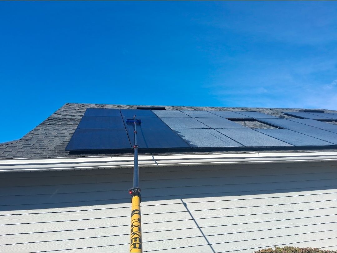 Solar panels in a grid, with sunlight reflecting off the dark blue surfaces.