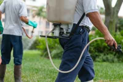 FUMIGACIONES PROFESIONALES PREMIER – Pesticidas