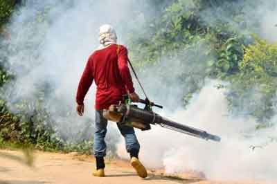 FUMIGACIONES PROFESIONALES PREMIER – Fumigación industrial
