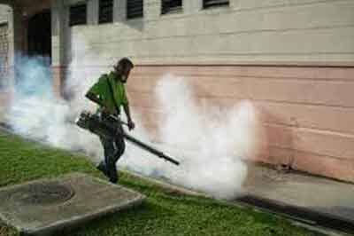 FUMIGACIONES PROFESIONALES PREMIER – Copntrol de termita